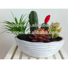 Artificial mini cactus succulent nursery plants for decoration